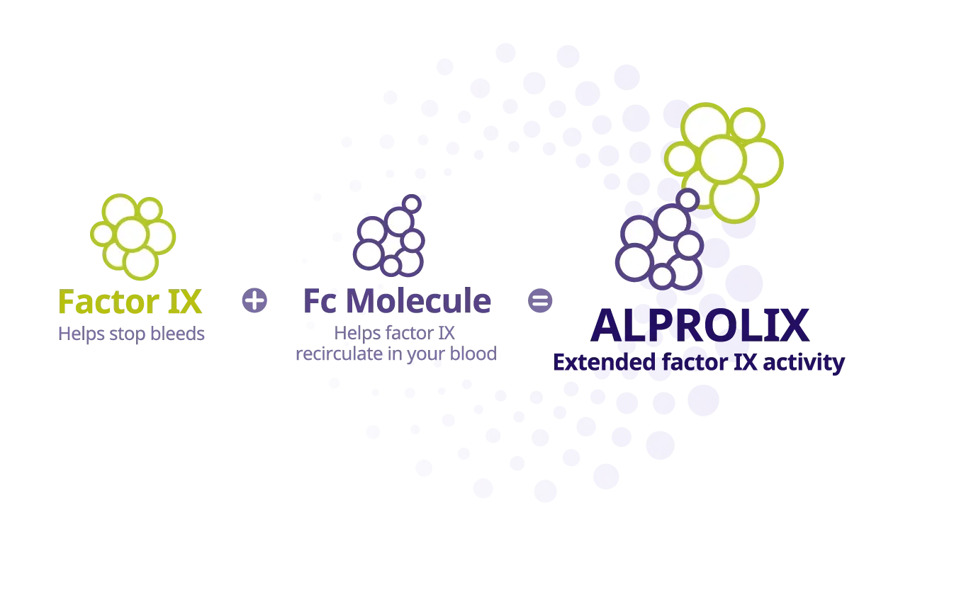 Factor IX molecule + Fc molecule = Fc molecule fused with Factor IX