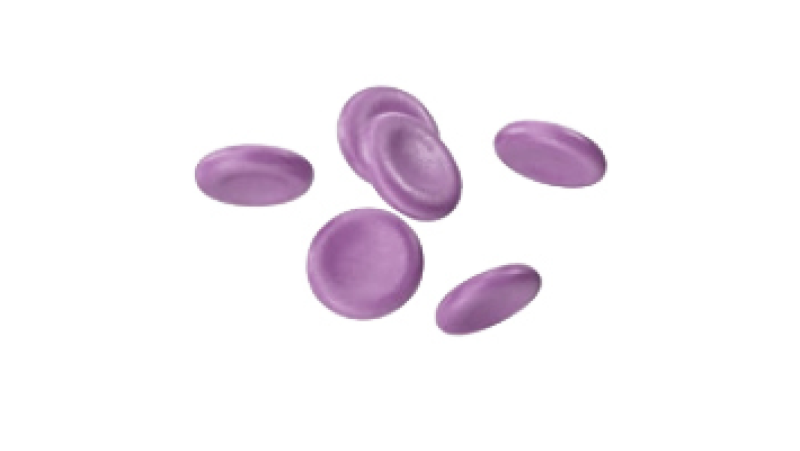 Purple blood cells